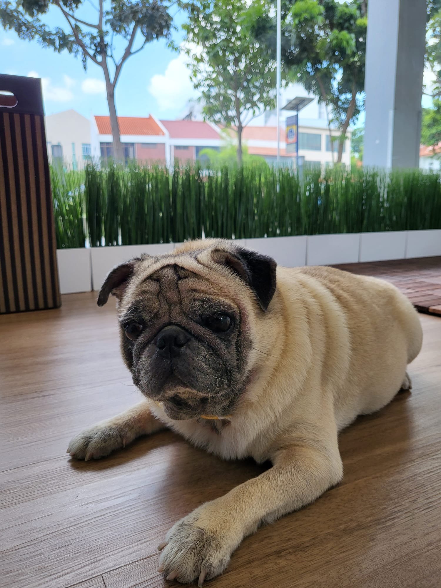 WhatsApp Image 2022-03-13 at 2.19.02 PM.jpeg