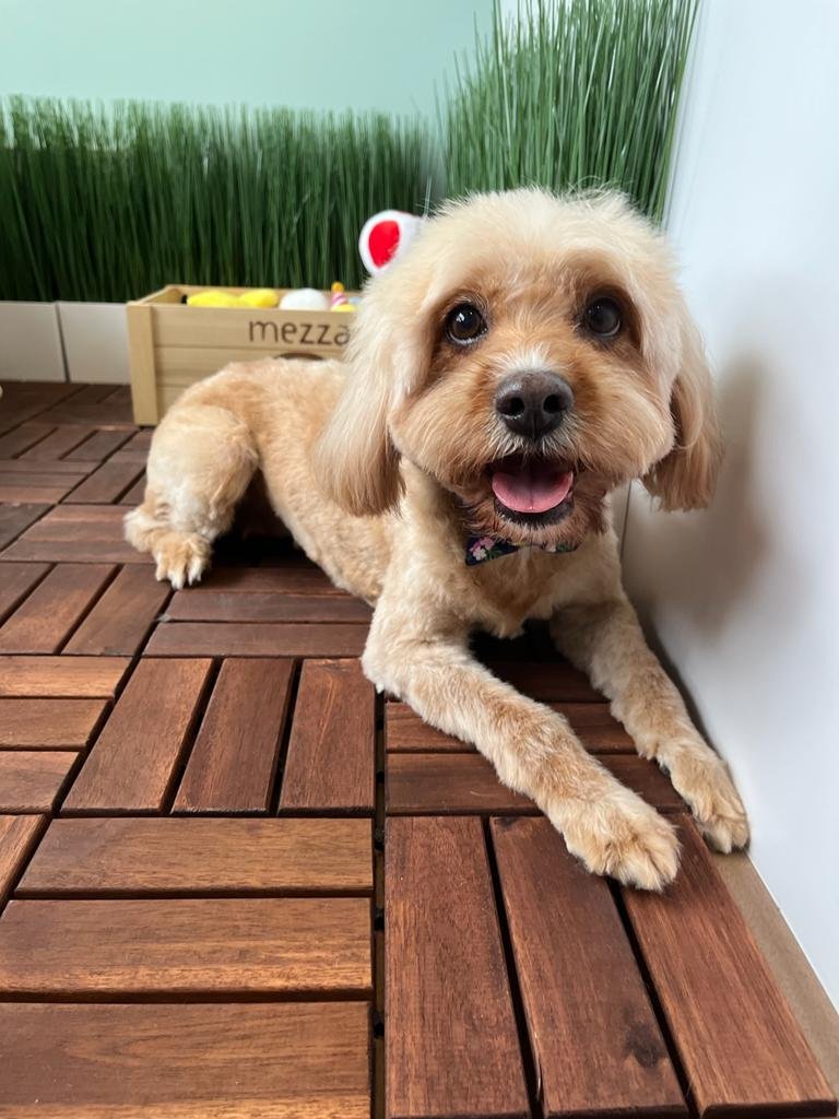 WhatsApp Image 2022-03-09 at 8.05.26 PM.jpeg