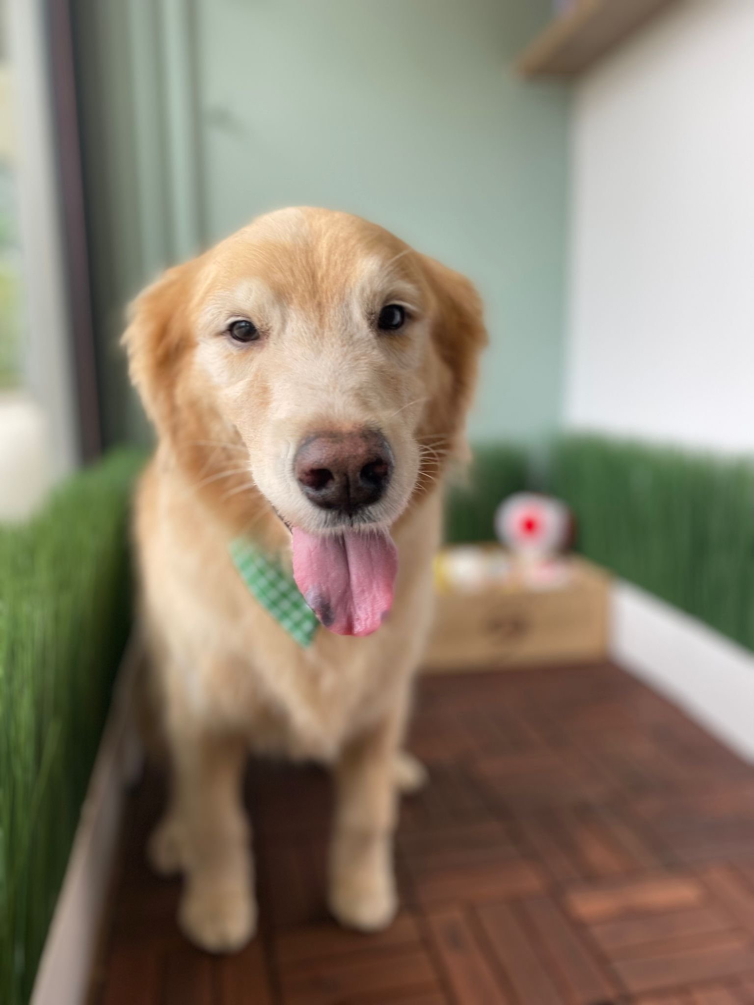 WhatsApp Image 2022-03-10 at 5.04.18 PM.jpeg