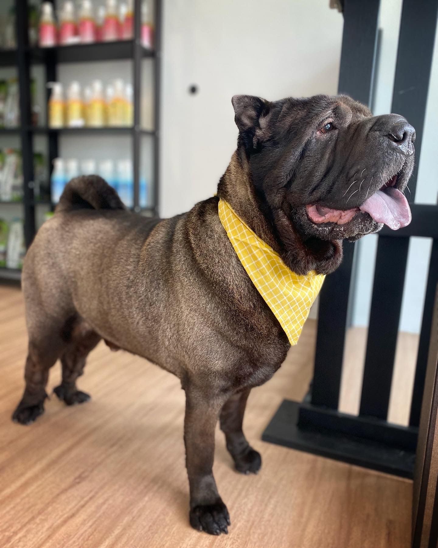 WhatsApp Image 2022-03-11 at 9.04.29 PM.jpeg