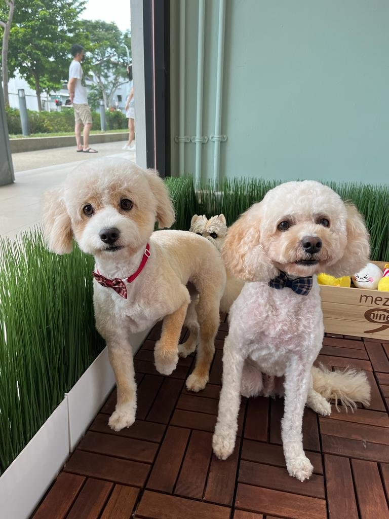 WhatsApp Image 2022-03-09 at 8.06.20 PM.jpeg