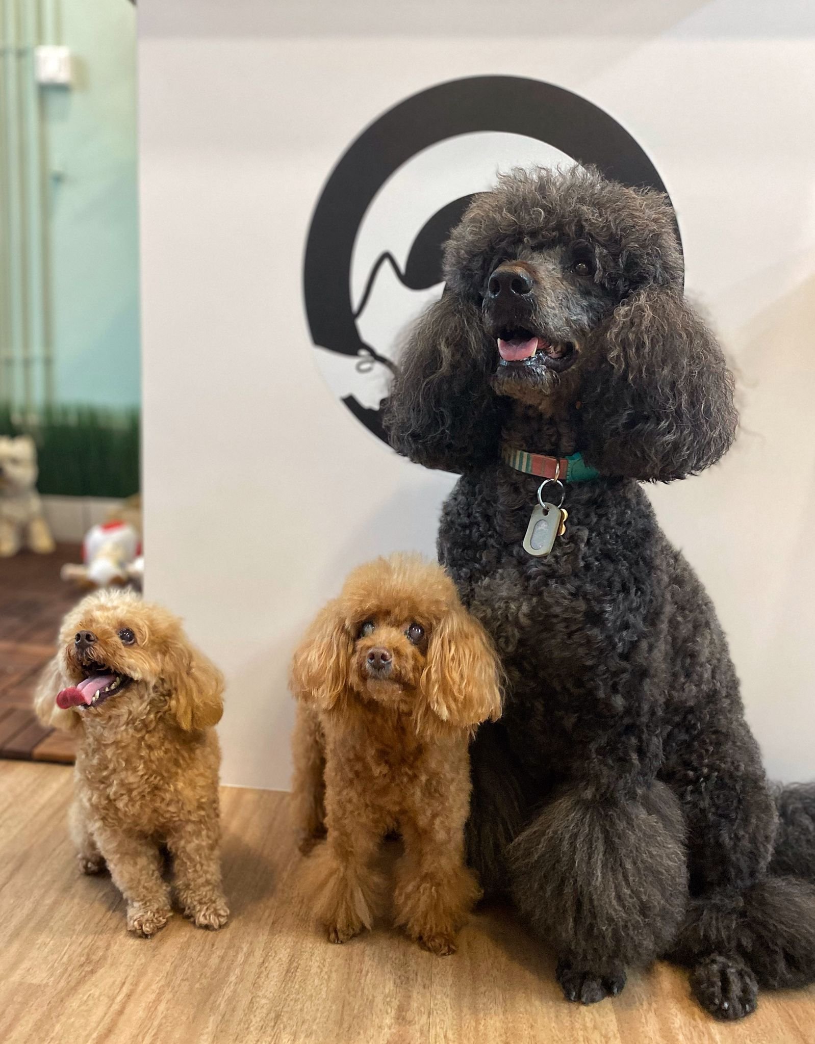 WhatsApp Image 2022-03-07 at 5.10.30 PM.jpeg