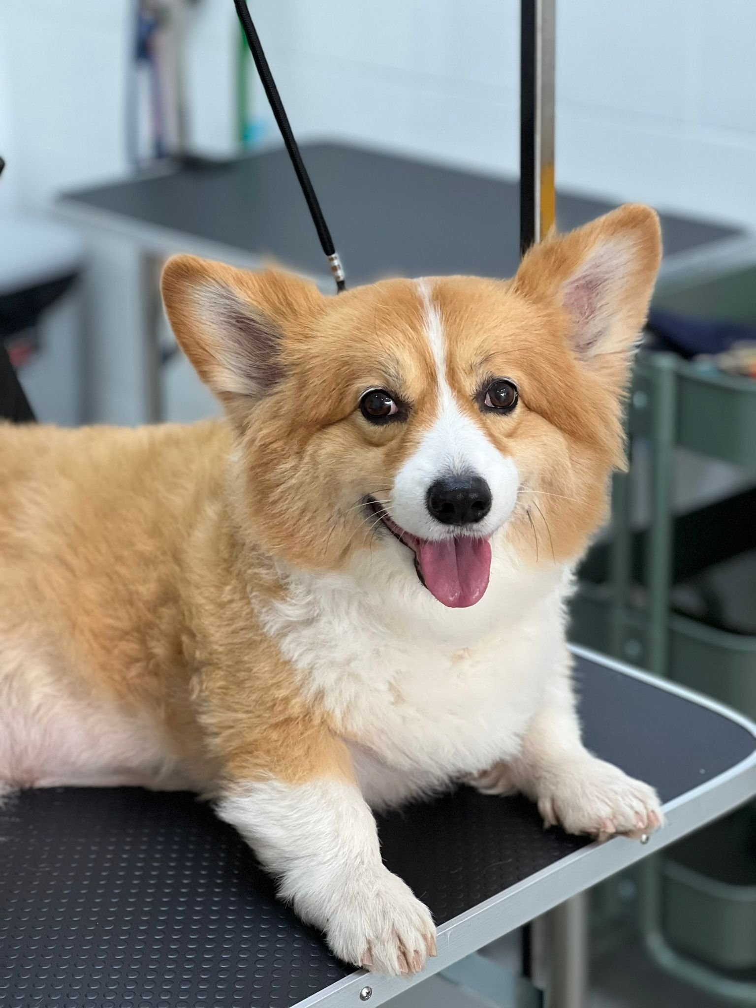 WhatsApp Image 2022-03-12 at 5.34.38 PM.jpeg