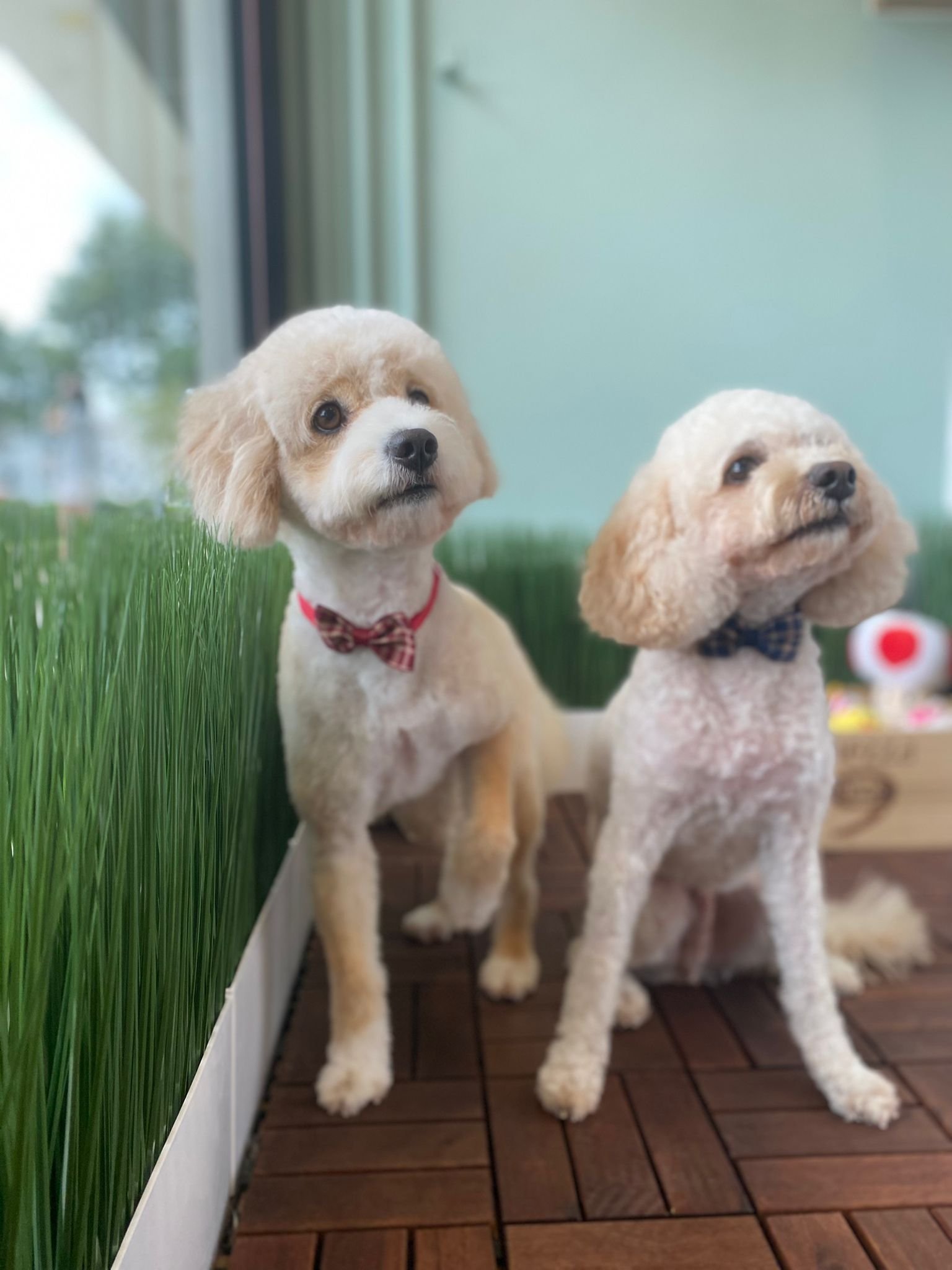 WhatsApp Image 2022-03-09 at 8.06.11 PM.jpeg