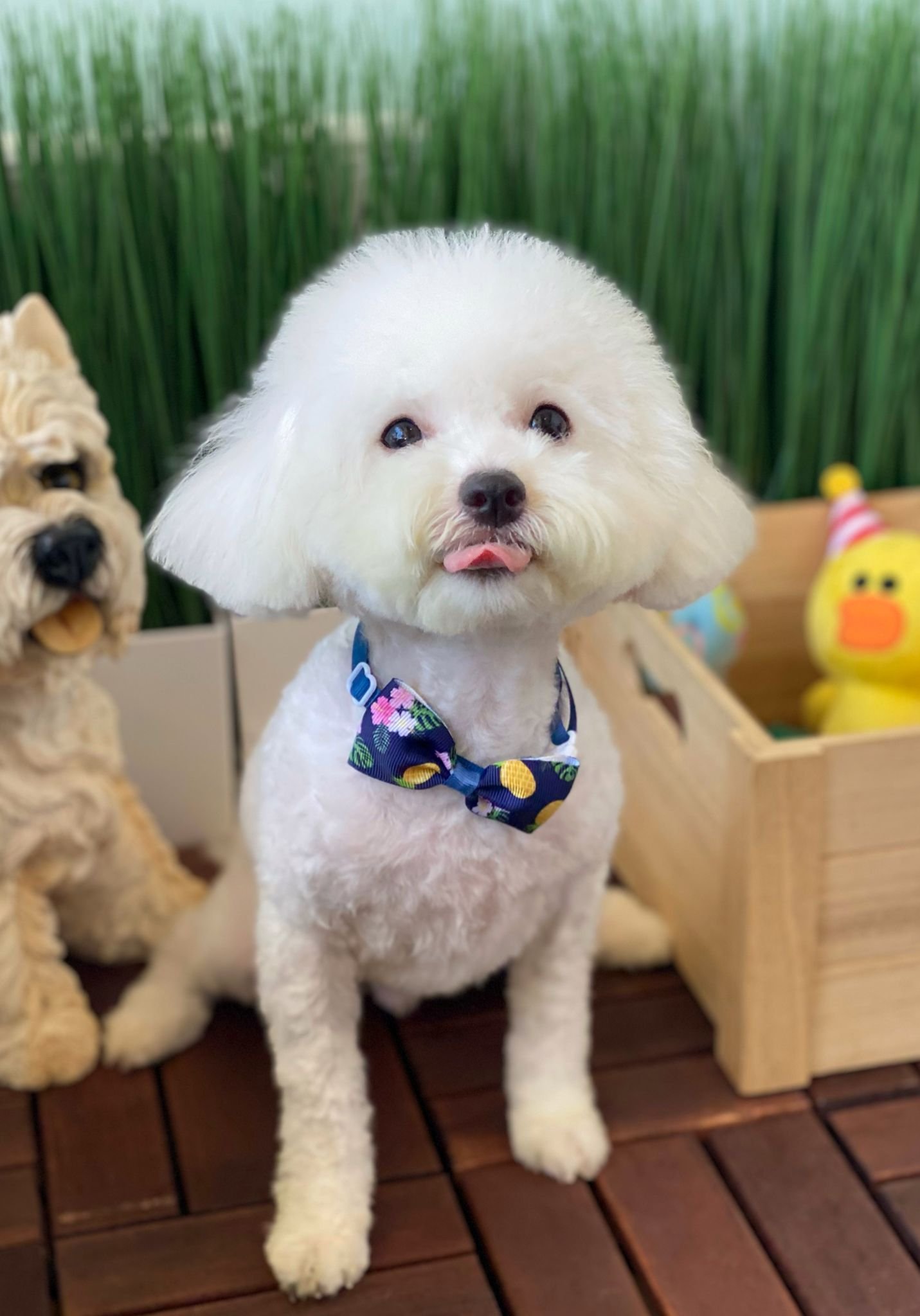 WhatsApp Image 2022-03-16 at 1.38.20 PM.jpeg