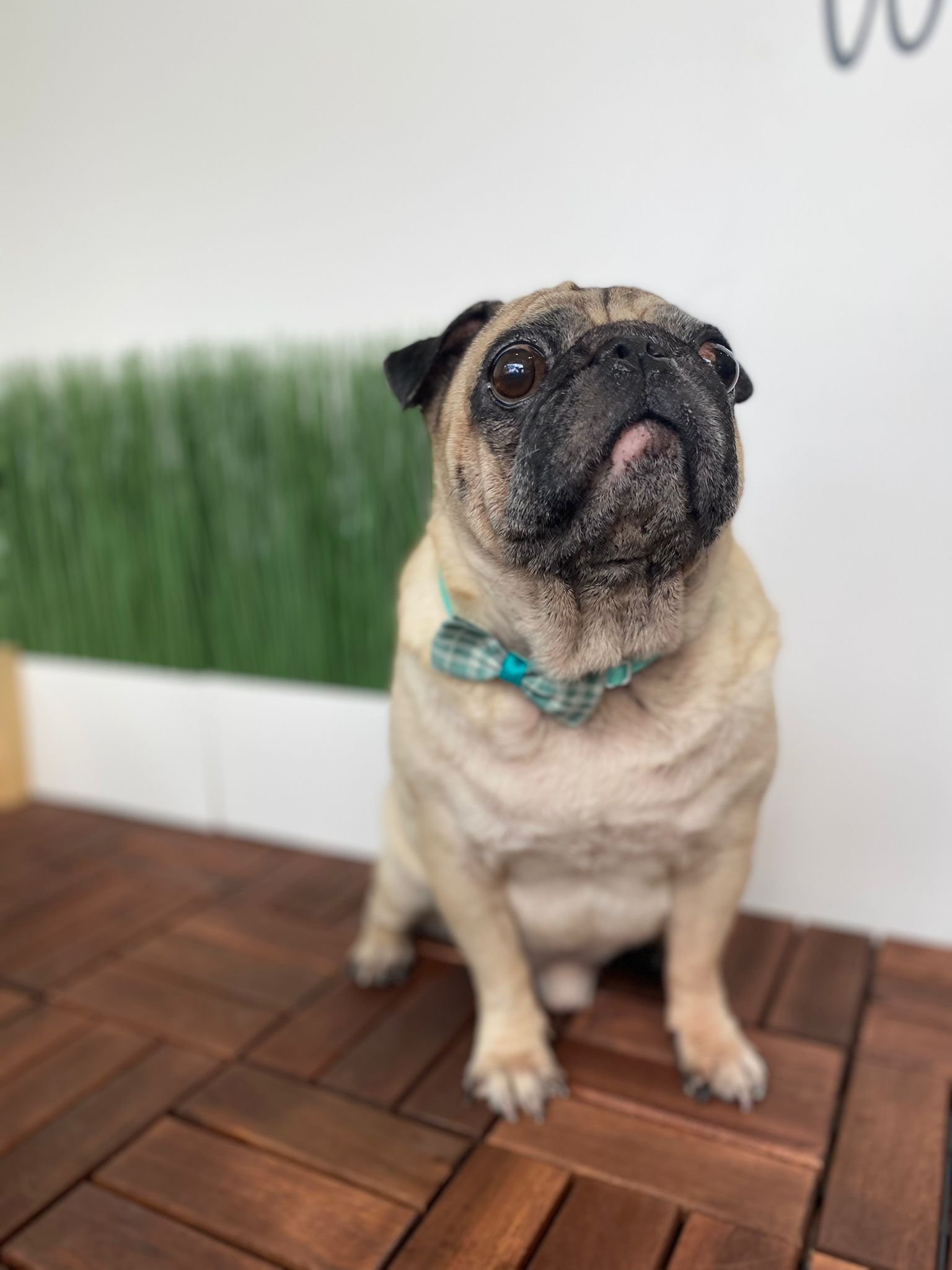 WhatsApp Image 2022-03-11 at 1.22.25 PM.jpeg